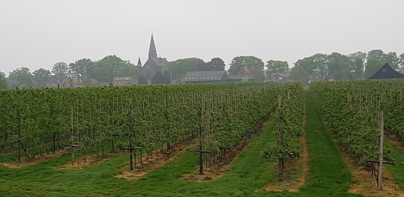 Wandeling over de Zuiderwaterlinie van Hooipolder naar Waalwijk