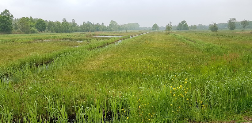 Wandeling over de Zuiderwaterlinie van Hooipolder naar Waalwijk