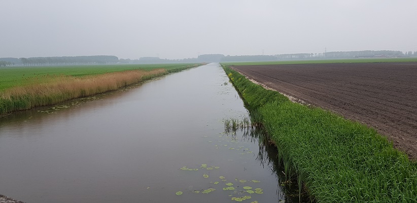 Wandeling over de Zuiderwaterlinie van Hooipolder naar Waalwijk via voetveer naar Slot Loevestein