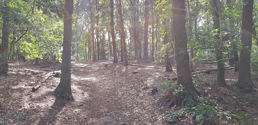 Historische wandeling Heemkunde Bakel over enige holle weg in Noord-Brabant