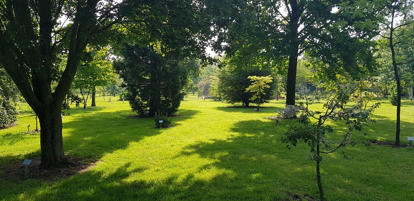 Wandeling Ommetje De Beemden en de Donken in Den Dungen in arboretum Hooidonk