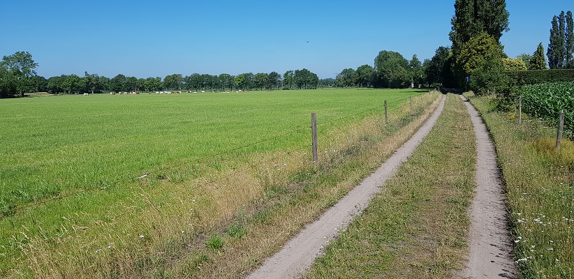 Wandeling over het Airbornepad van Kempervennen naar Genneper Park in EIndhoven