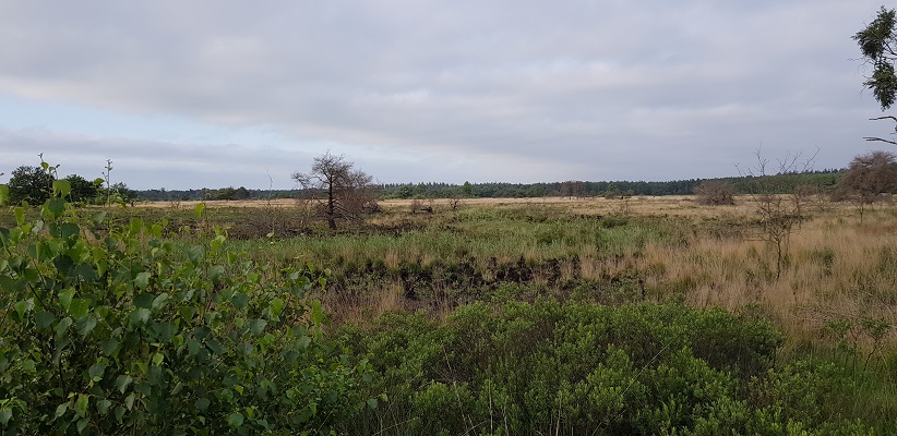 Wandeling over het Airbornepad van Kempervennen naar Genneper Park in EIndhoven bij de Malpie