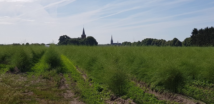 Bolle akkerroute Laarbeek met zicht op kerken Aarle-Rixtel