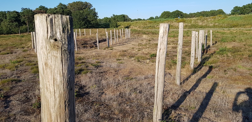 Wandeling van Brabant Vertelt over Doden- en Godenlandschap Paalgraven