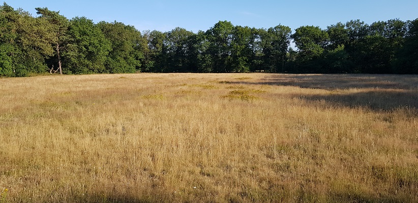 Wandeling van Brabant Vertelt over Doden- en Godenlandschap Paalgraven