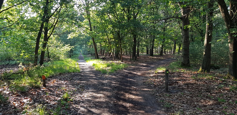 Wandeling van Brabant Vertelt over de paden en banen door de Maashorst in Uden