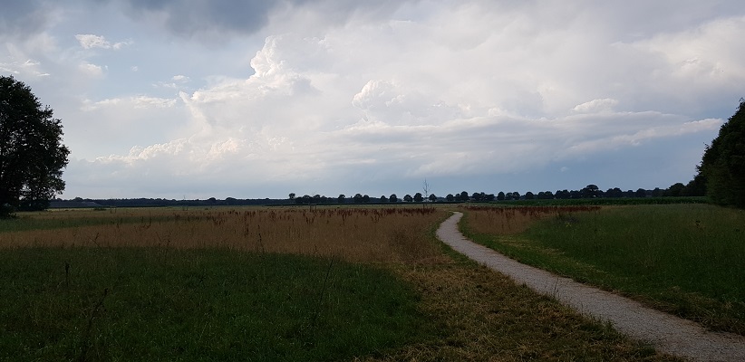 Wandeling van Brabant Vertelt over de paden en banen door de Maashorst in Uden