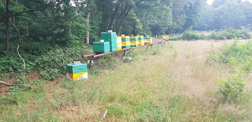 Wandeling NS-wandeling Spoorzone Tilburg bij bijenkasten