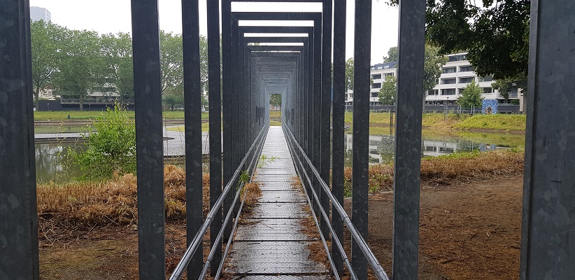 Wandeling NS-wandeling Spoorzone Tilburg bij Kromhoutpark