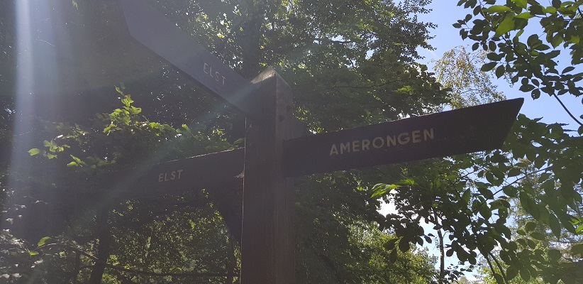Trage tocht over de Utrechtse Heuvelrug bij Veenendaal