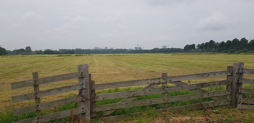 Wandelen buiten de binnenstad van Amsterdam van Gegarandeerd Onregelmatig