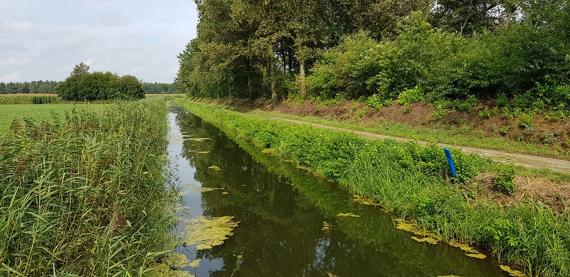 IVN-wandeling bij Landhorst over Waterweetjes langs Defensiekanaal