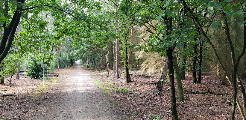 IVN-wandeling bij Landhorst over Waterweetjes