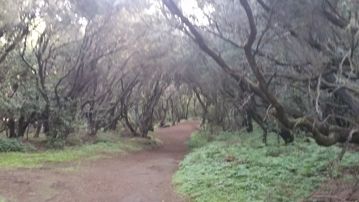 Wandeling op Canarisch Eiland La Gomera van El Cercado naar Vallehermoso