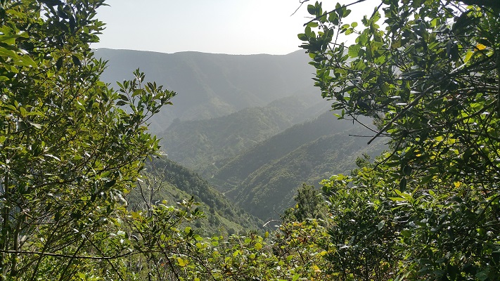 Wandeling op Canarisch Eiland La Gomera van El Cercado naar Vallehermoso