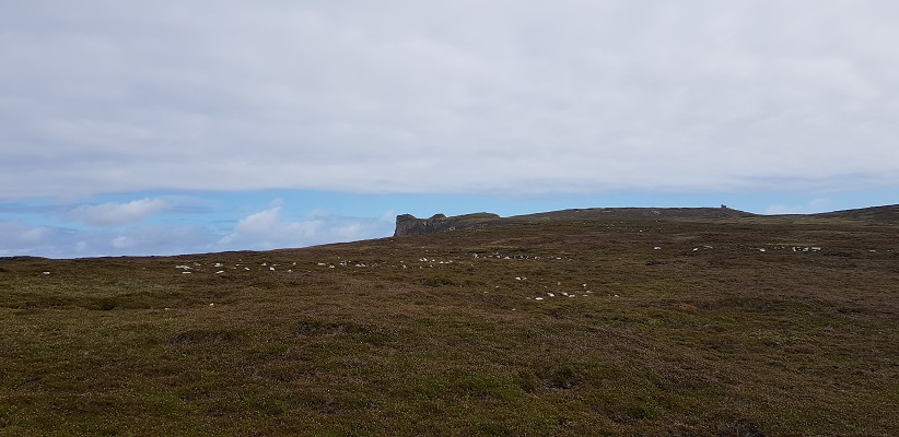 Wandeling op Horn Head in Ierland