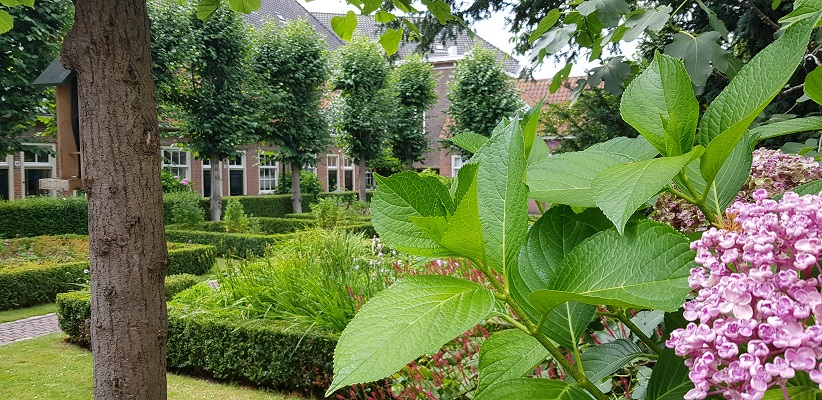 Wandelen in Delfland in Centrum Delft in het Klaeuwshofje