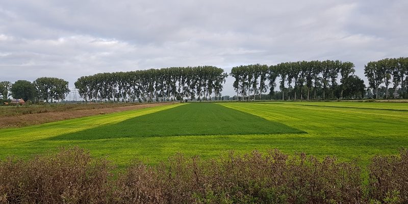 Wandeling over klompenpad Nudepad bij Rhenen en Wageningen