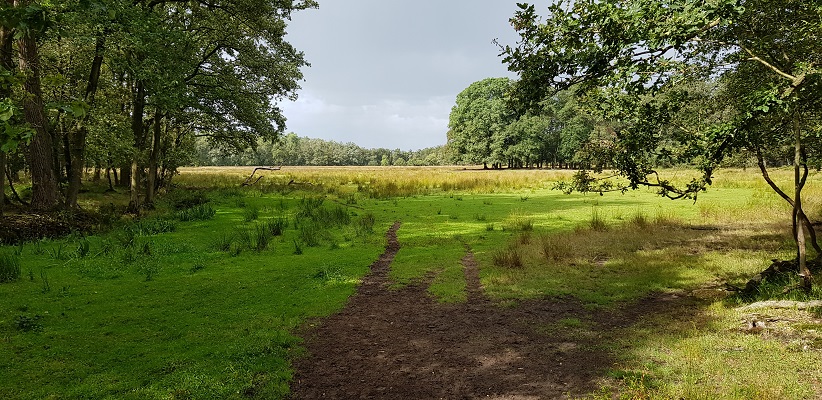 Wandeling over het Roots Natuurpad van Oisterwijk in de Mortelen