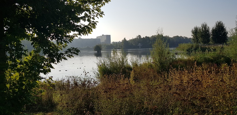 Wandeling door Vogelaarwijken in Arnhem van Gegarandeerd Onregelmatig langs het Stadseiland