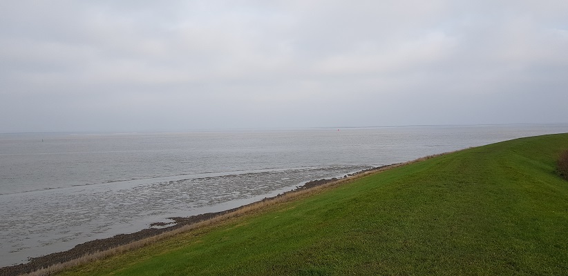 Wandeling over het Friese Woudenpad van Lauwersoog naar Ezumazijl bij de Waddenzee