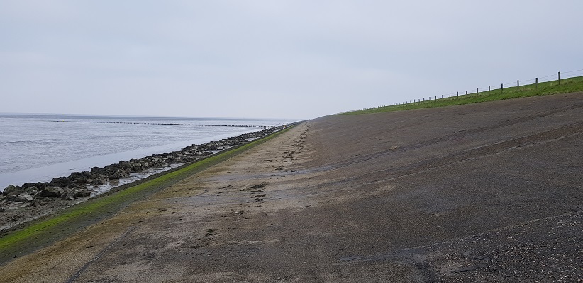 Wandeling over het Friese Woudenpad van Lauwersoog naar Ezumazijl op de Waddendijk