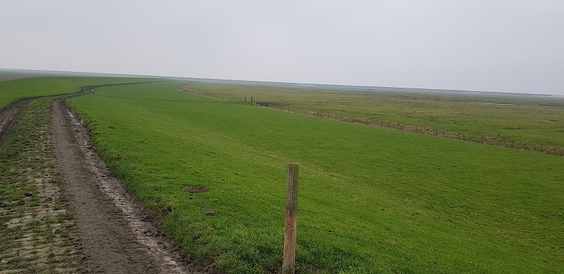 Wandeling over het Friese Woudenpad van Lauwersoog naar Ezumazijl bij de Bantspolder