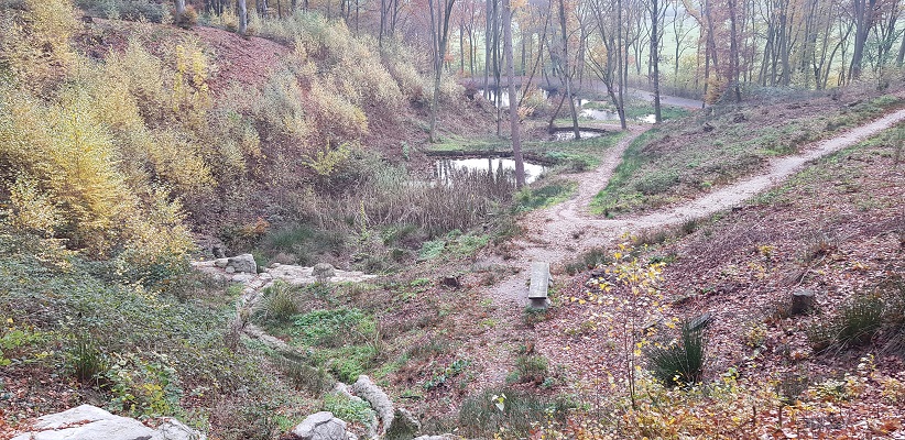 Wandeling over Klompenpad het Dorenweertsepad bij de Cascade