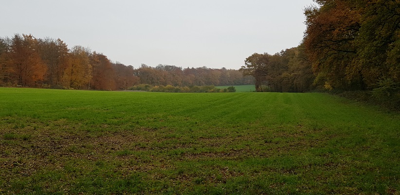 Wandeling over Klompenpad het Dorenweertsepad