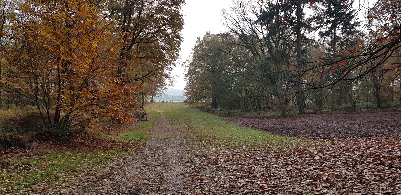 Wandeling over Klompenpad het Dorenweertsepad