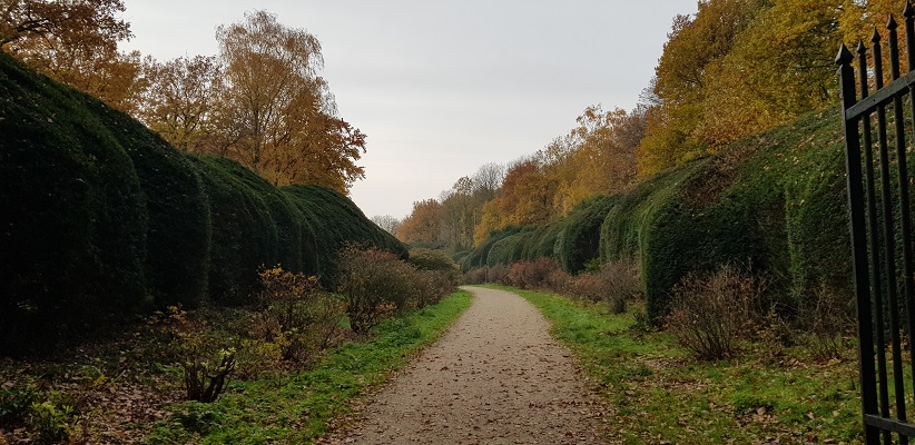 Wandeling over Klompenpad het Dorenweertsepad op landgoed Duno