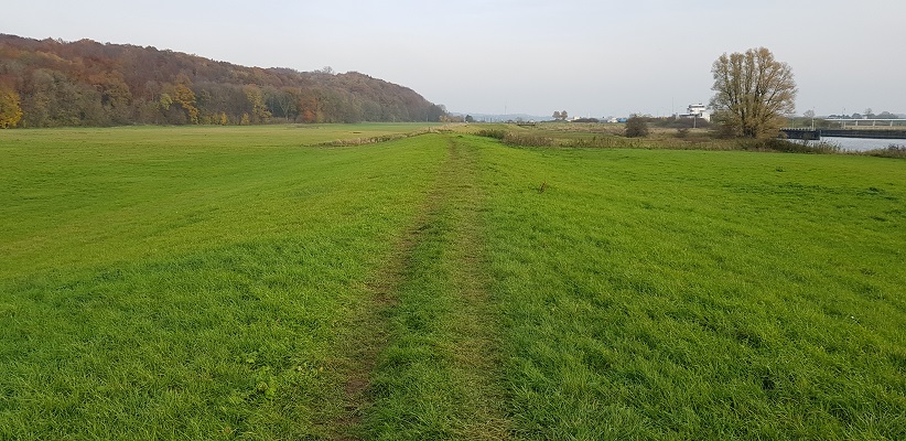 Wandeling over Klompenpad het Dorenweertsepad in de uiterwaarden van de Rijn