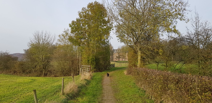 Wandeling over Klompenpad het Dorenweertsepad