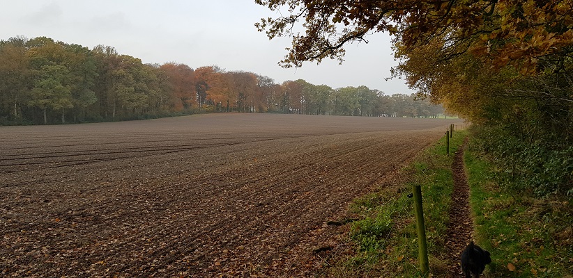 Wandeling over Klompenpad het Dorenweertsepad
