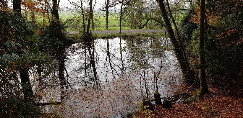 Wandeling over Klompenpad het Dorenweertsepad