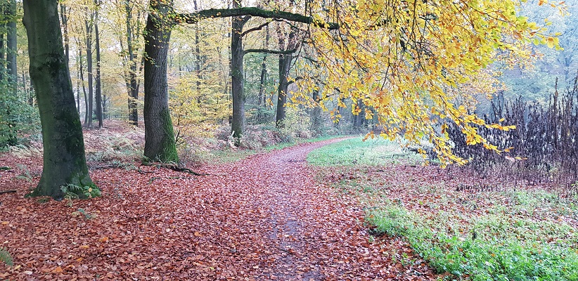 wandelen-buiten-de-binnenstad-van-arnhem-landgoederenpad-1 Wandeling over het Landgoederenpad van de gids Wandelen buiten de binnenstad van Arnhem uit de gids van Gegarandeerd Onregelmatig bij landgoed Loobergen