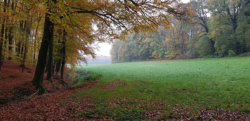 wandelen-buiten-de-binnenstad-van-arnhem-landgoederenpad-10 Wandeling over het Landgoederenpad van de gids Wandelen buiten de binnenstad van Arnhem uit de gids van Gegarandeerd Onregelmatig op landgoed Warnsborn