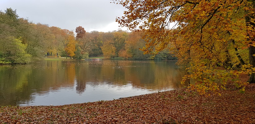 wandelen-buiten-de-binnenstad-van-arnhem-landgoederenpad-14 Wandeling over het Landgoederenpad van de gids Wandelen buiten de binnenstad van Arnhem uit de gids van Gegarandeerd Onregelmatig in park Sonsbeek