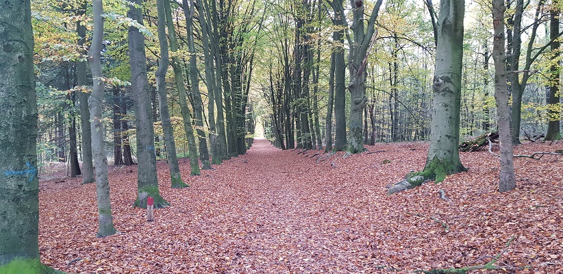wandelen-buiten-de-binnenstad-van-arnhem-landgoederenpad-22 Wandeling over het Landgoederenpad van de gids Wandelen buiten de binnenstad van Arnhem uit de gids van Gegarandeerd Onregelmatig op landgoed Mariëndal