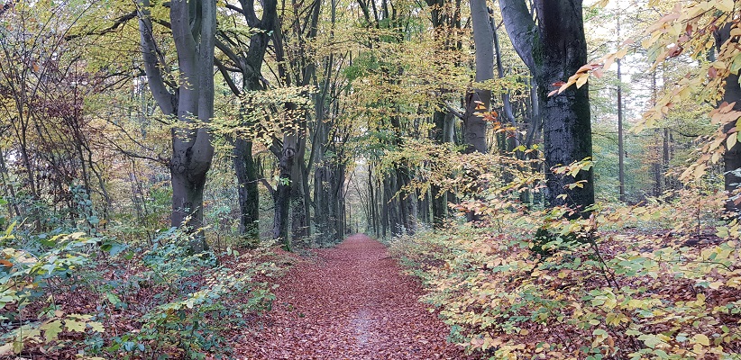 wandelen-buiten-de-binnenstad-van-arnhem-landgoederenpad-24 Wandeling over het Landgoederenpad van de gids Wandelen buiten de binnenstad van Arnhem uit de gids van Gegarandeerd Onregelmatig