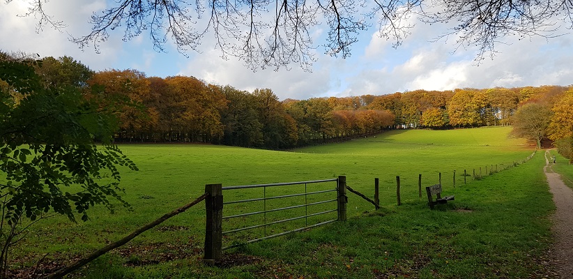 wandelen-buiten-de-binnenstad-van-arnhem-landgoederenpad-26 Wandeling over het Landgoederenpad van de gids Wandelen buiten de binnenstad van Arnhem uit de gids van Gegarandeerd Onregelmatig op landgoed Mariëndal