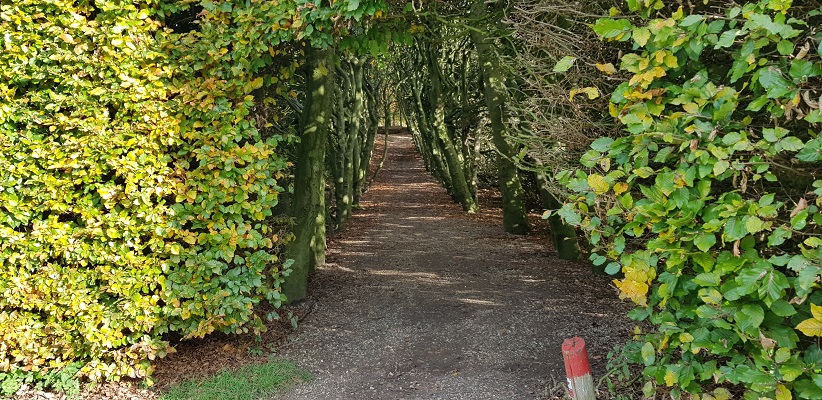 wandelen-buiten-de-binnenstad-van-arnhem-landgoederenpad-28 Wandeling over het Landgoederenpad van de gids Wandelen buiten de binnenstad van Arnhem uit de gids van Gegarandeerd Onregelmatig bij de Groene Bedstee