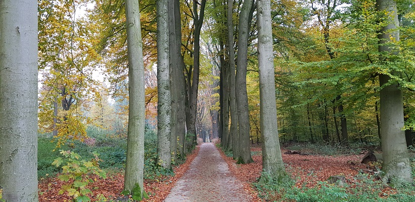 wandelen-buiten-de-binnenstad-van-arnhem-landgoederenpad-3 Wandeling over het Landgoederenpad van de gids Wandelen buiten de binnenstad van Arnhem uit de gids van Gegarandeerd Onregelmatig bij landgoed Vijverberg