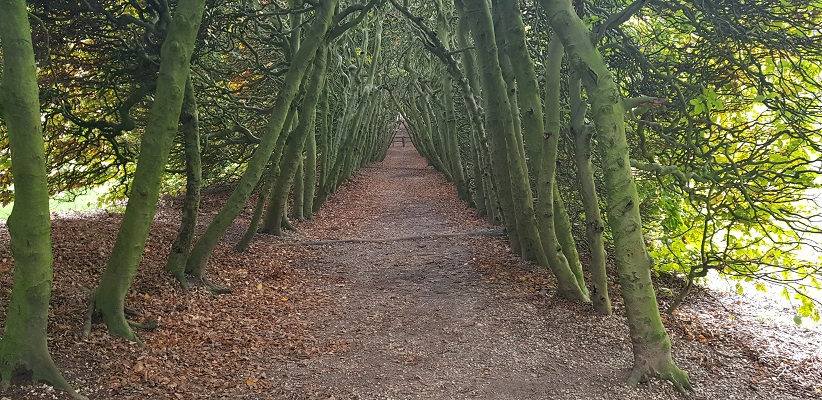 Wandeling over het Landgoederenpad van de gids Wandelen buiten de binnenstad van Arnhem uit de gids van Gegarandeerd Onregelmatig bij de Groene Bedstee