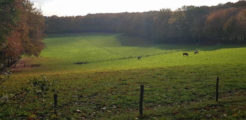 wandelen-buiten-de-binnenstad-van-arnhem-landgoederenpad-32 Wandeling over het Landgoederenpad van de gids Wandelen buiten de binnenstad van Arnhem uit de gids van Gegarandeerd Onregelmatig