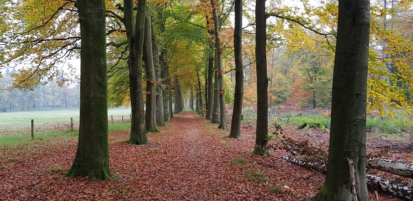 wandelen-buiten-de-binnenstad-van-arnhem-landgoederenpad-4 Wandeling over het Landgoederenpad van de gids Wandelen buiten de binnenstad van Arnhem uit de gids van Gegarandeerd Onregelmatig bij landgoed Vijverberg