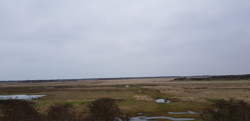 Wandeling naar het Willemsduin op het Schiermonnikoog