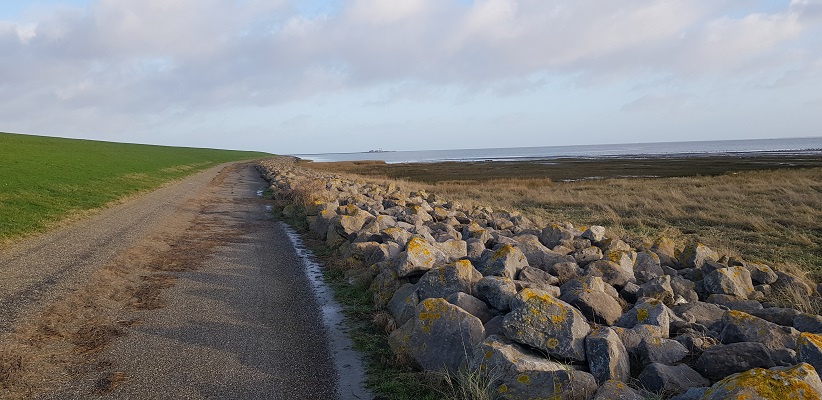 schiermonnikoog-dorp-veerdam-5 Wandeling op Schiermonnikoog van het Dorp naar de veerdam