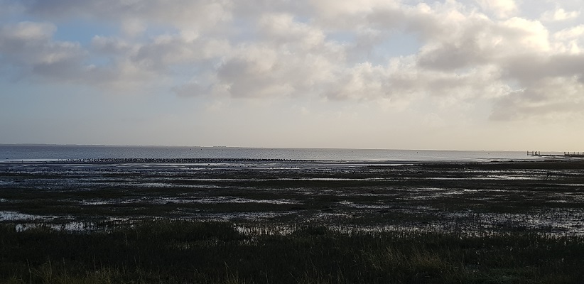Wandeling op Schiermonnikoog van het Dorp naar de veerdam met zicht op de Waddenzee